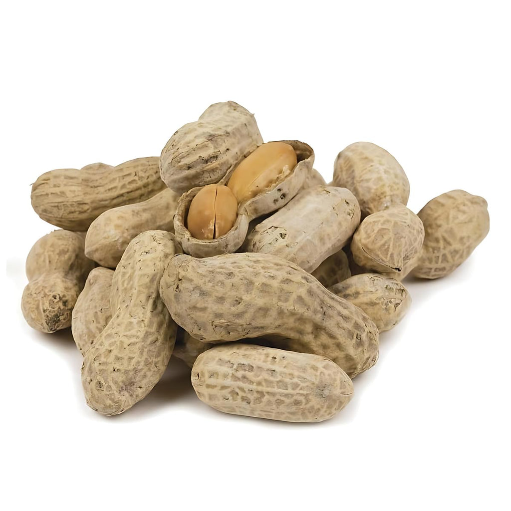 In-Shell Peanuts 10 Pounds G370
