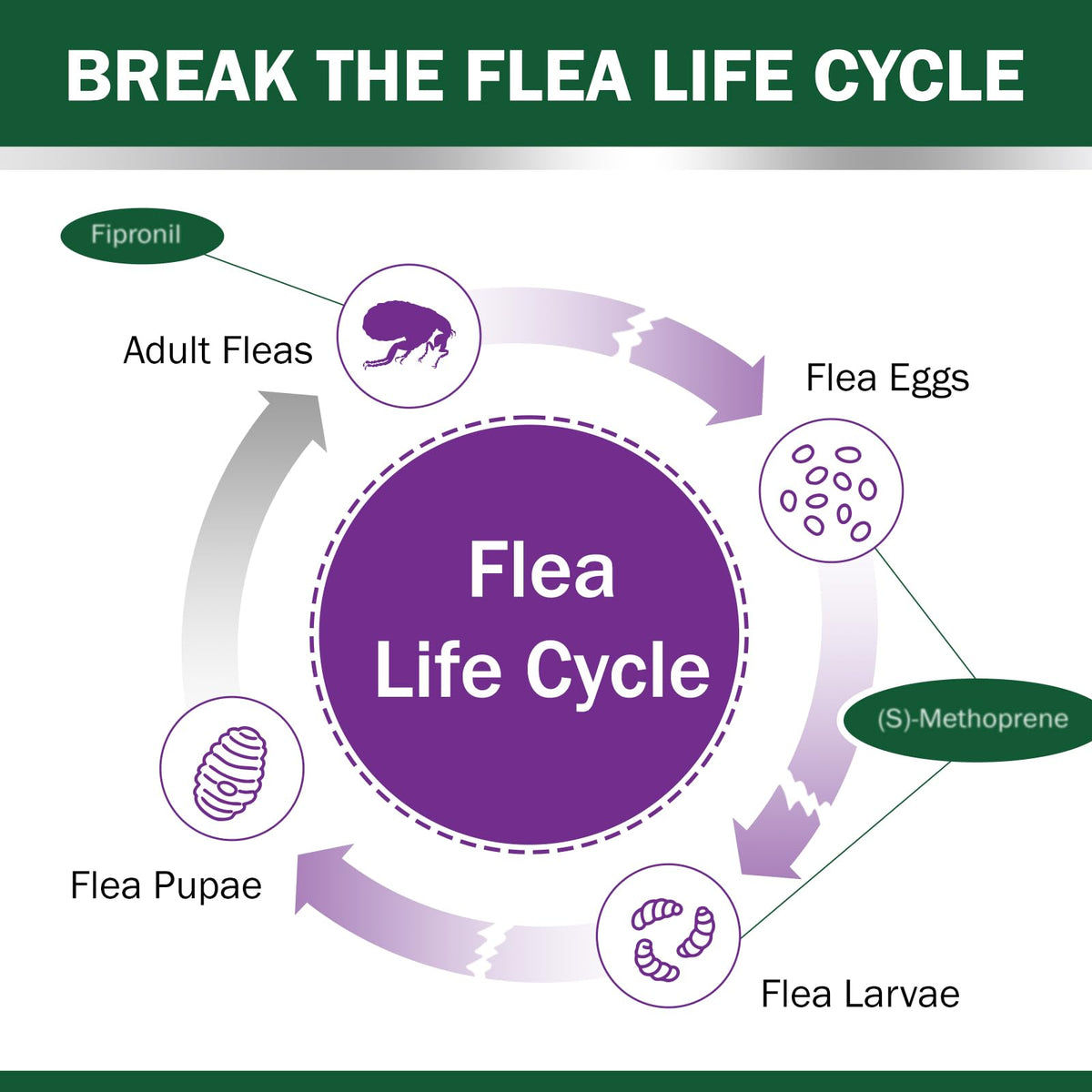 Flea and Tick Prevention for Cats Over 1.5 lbs D65974