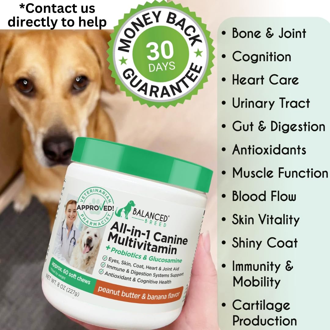 Dog Multivitamin Soft Chew Glucosamine T37651
