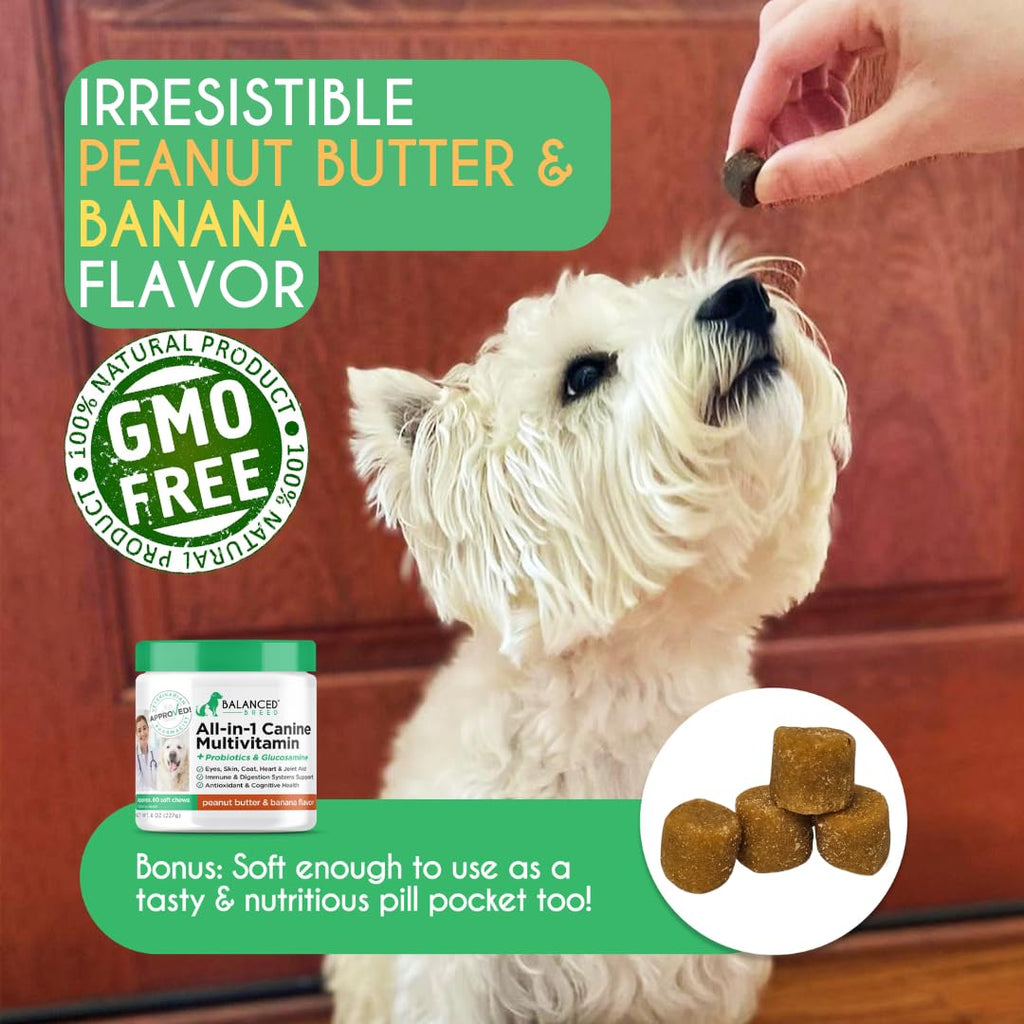 Dog Multivitamin Soft Chew Glucosamine T37651