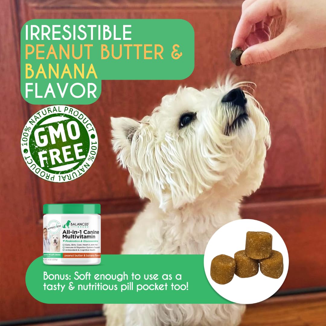 Dog Multivitamin Soft Chew Glucosamine T37651