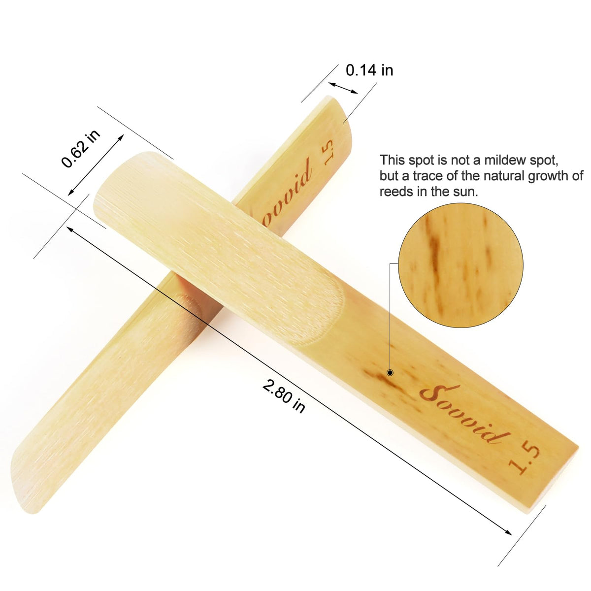 10 Pack Strength 1.5 Alto Saxophone Reeds with Plastic Box L1525