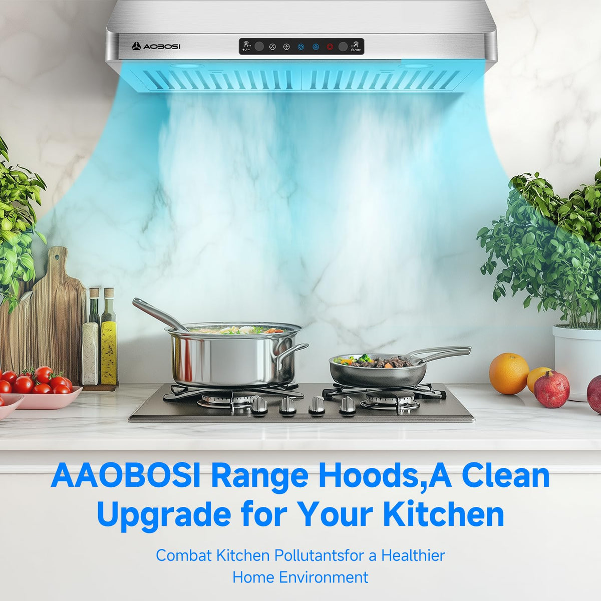 30 Inch Stainless Steel Under Cabinet Range Hood K901