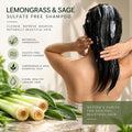 Sulfate-Free Shampoo & Conditioner Set 8 oz H90335