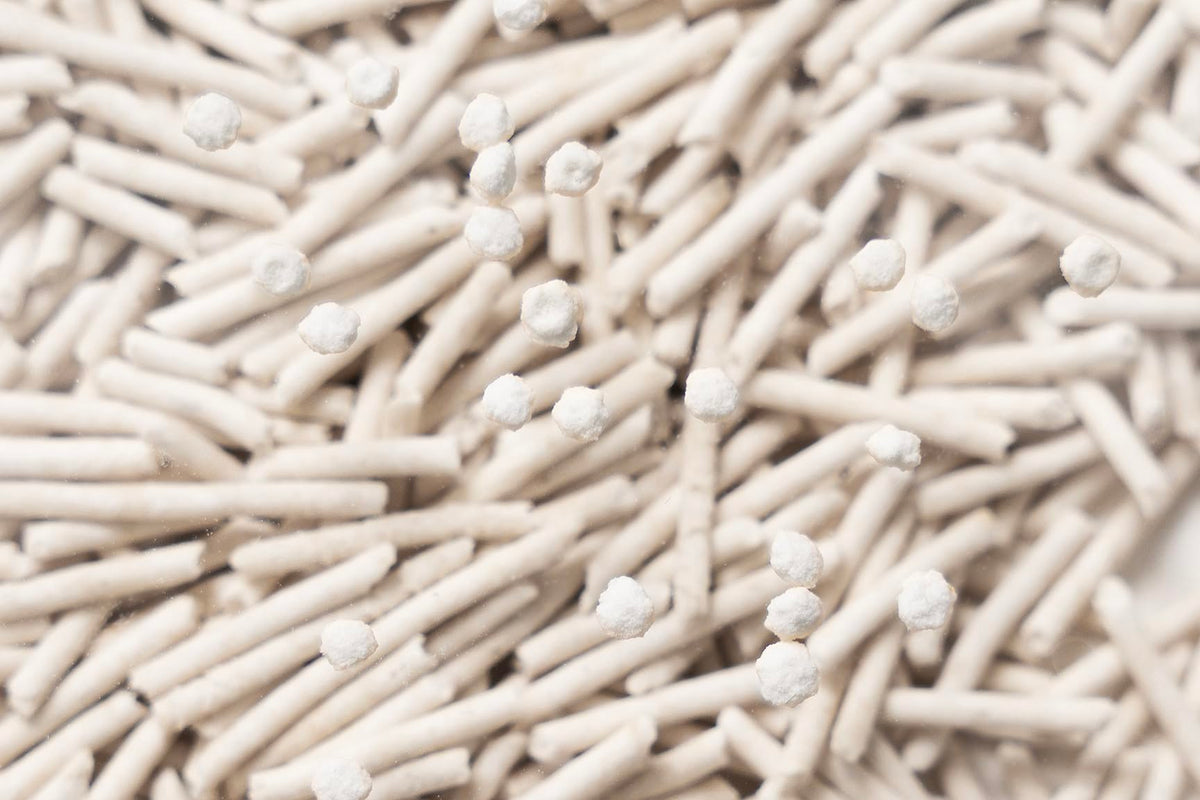 Tofu Cat Litter Clumping Flushable Ultra Absorbent 5.3lb×2bags E6237