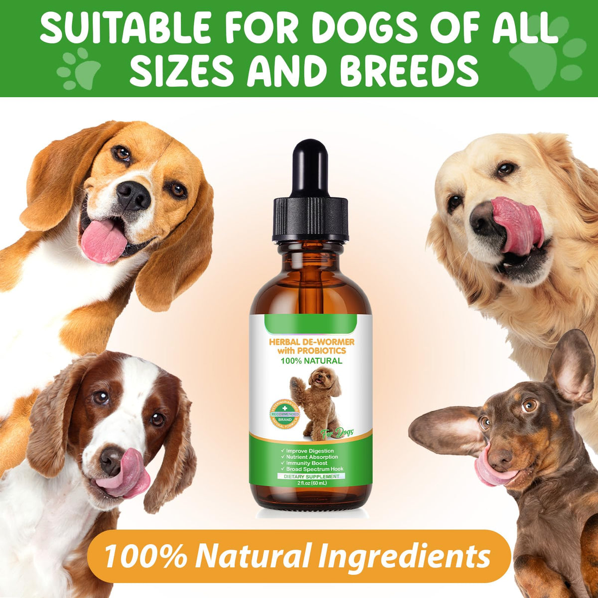 2 Fl Oz Herbal Digestive Support for Dogs R81495