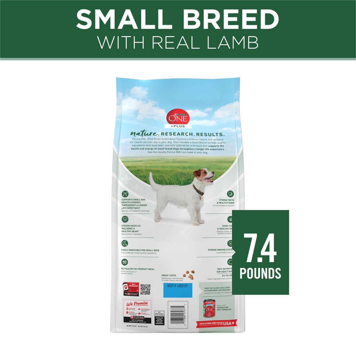 High Protein Dry Dog Food, Lamb, 7.4 lb Bag C16950