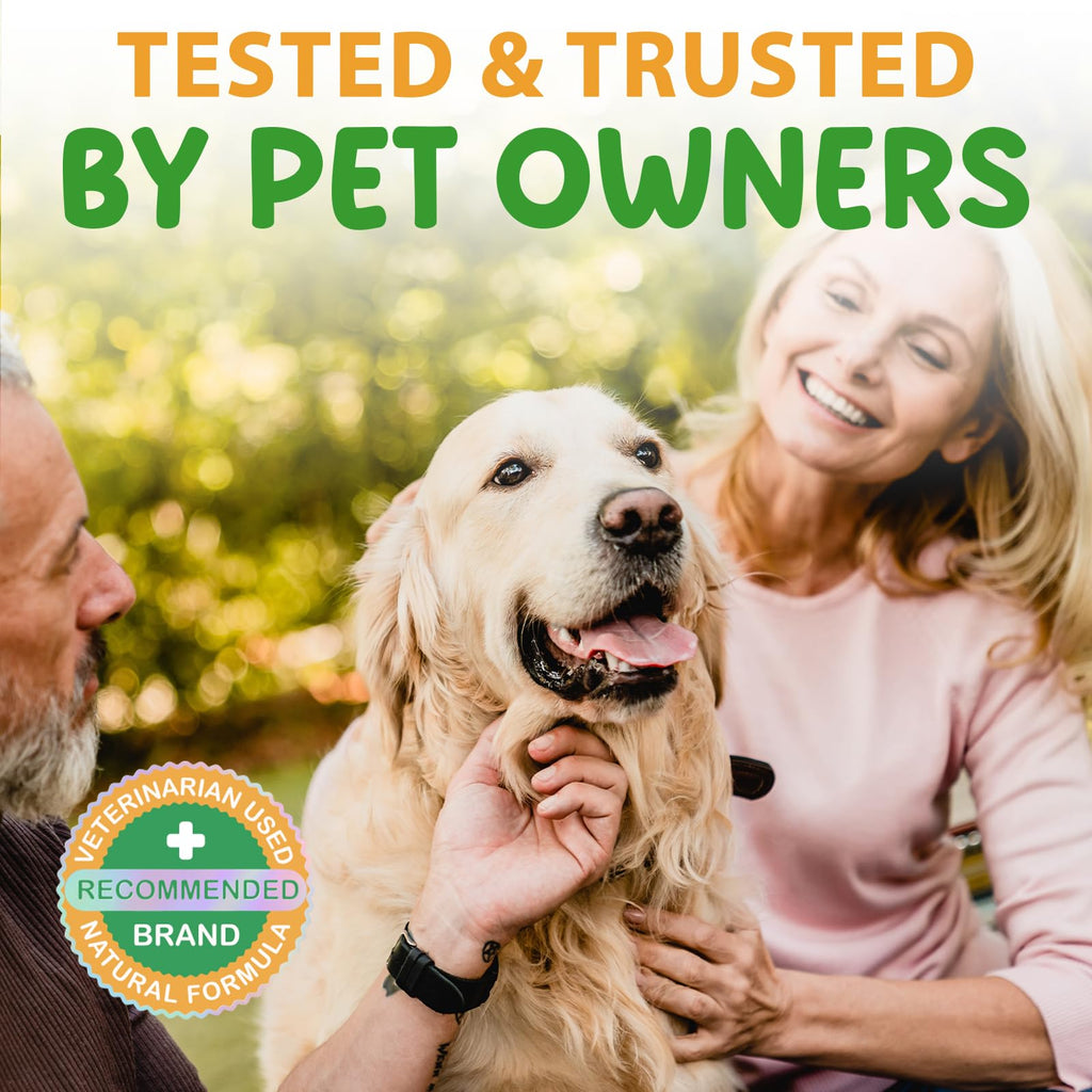 2 Fl Oz Herbal Digestive Support for Dogs R81495