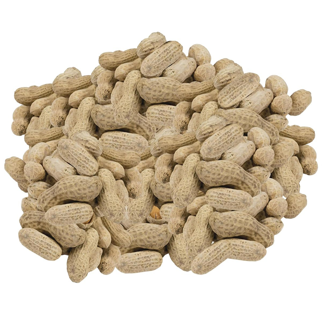 In-Shell Peanuts 10 Pounds G370