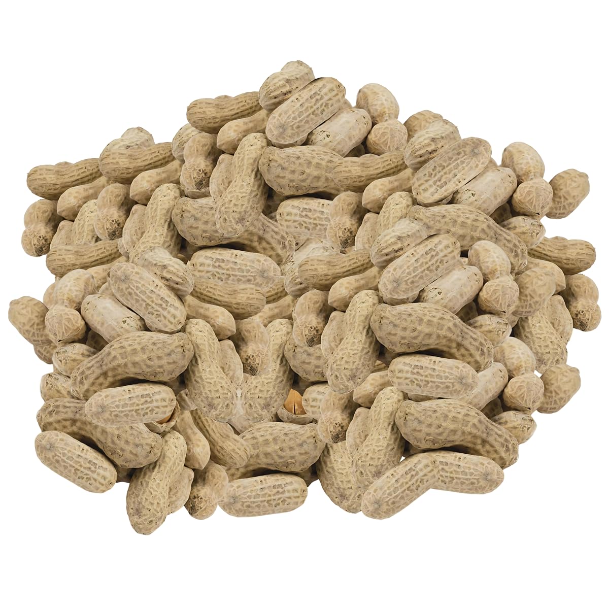 In-Shell Peanuts 10 Pounds G370