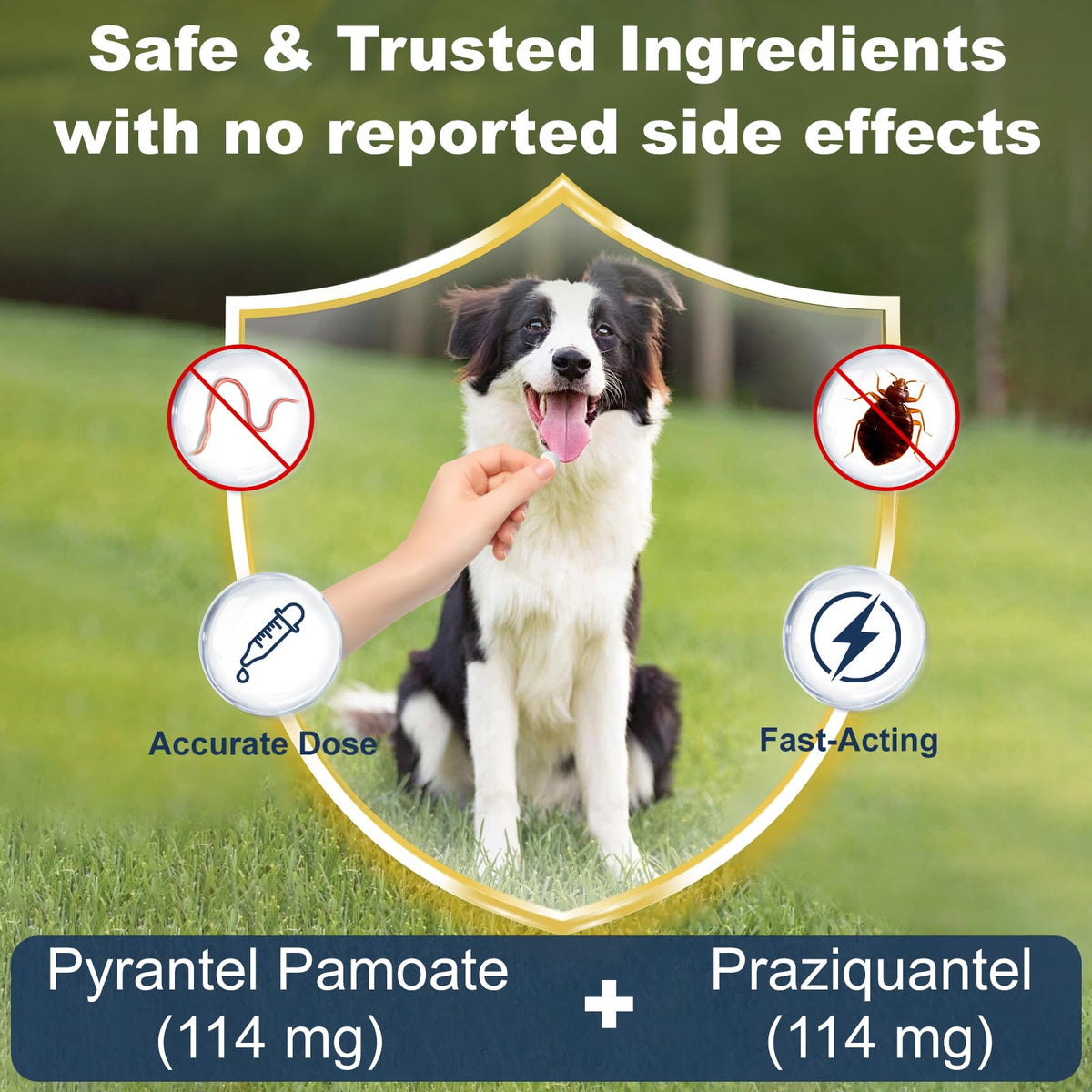 7-Way Dewormer for Dogs, 30 Tablets B4744