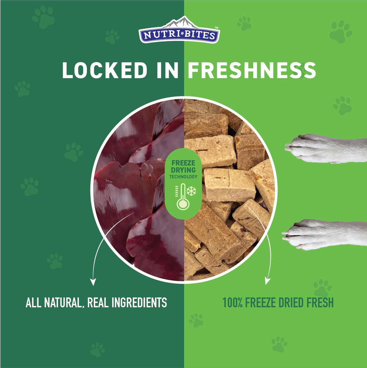 Freeze Dried Beef Liver Dog & Cat Treats 27 Ounce Bag Y13931