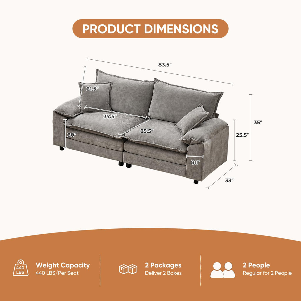 Light Gray Chenille 2 Seater Sofa with Pillows S4405