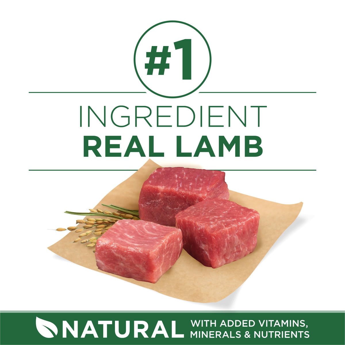 High Protein Dry Dog Food, Lamb, 7.4 lb Bag C16950