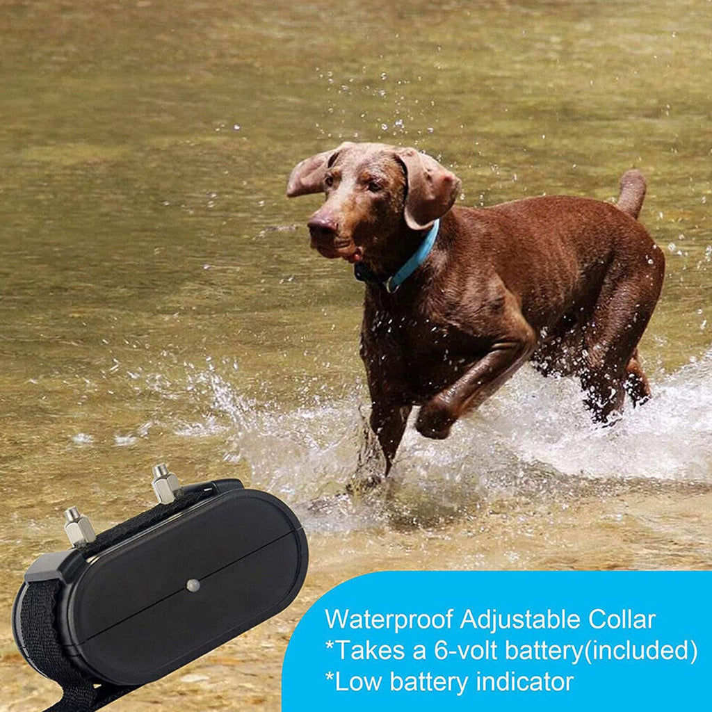 Electronic Dog Fence & Training Collar System, 1/2 Acre, Waterproof T70186