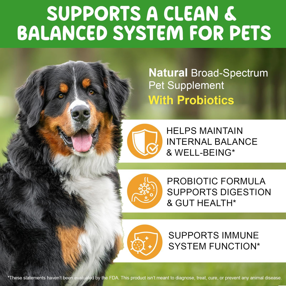 2 Fl Oz Herbal Digestive Support for Dogs R81495