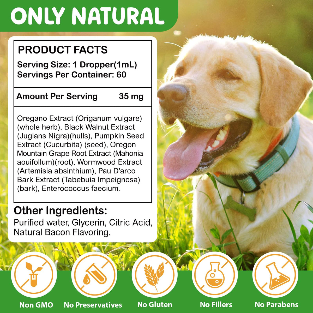 2 Fl Oz Herbal Digestive Support for Dogs R81495