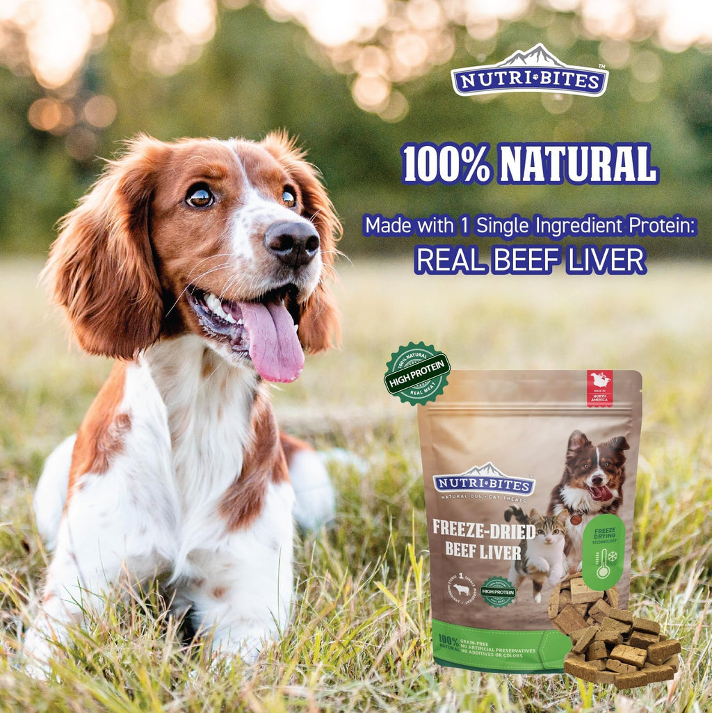 Freeze Dried Beef Liver Dog & Cat Treats 27 Ounce Bag Y13931