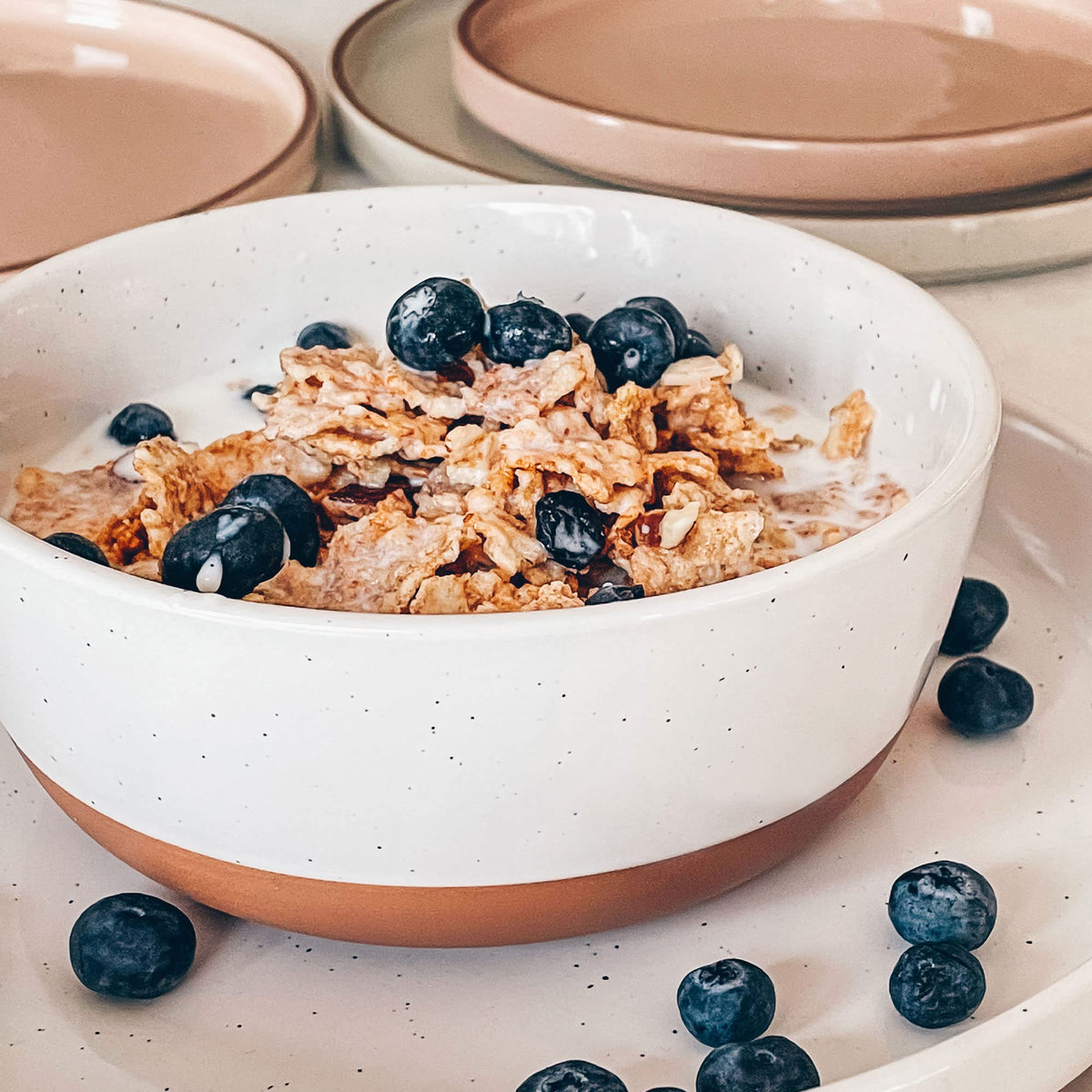 Ceramic Flat Bowls Set of 4 25 oz Porcelain Bowl H13193