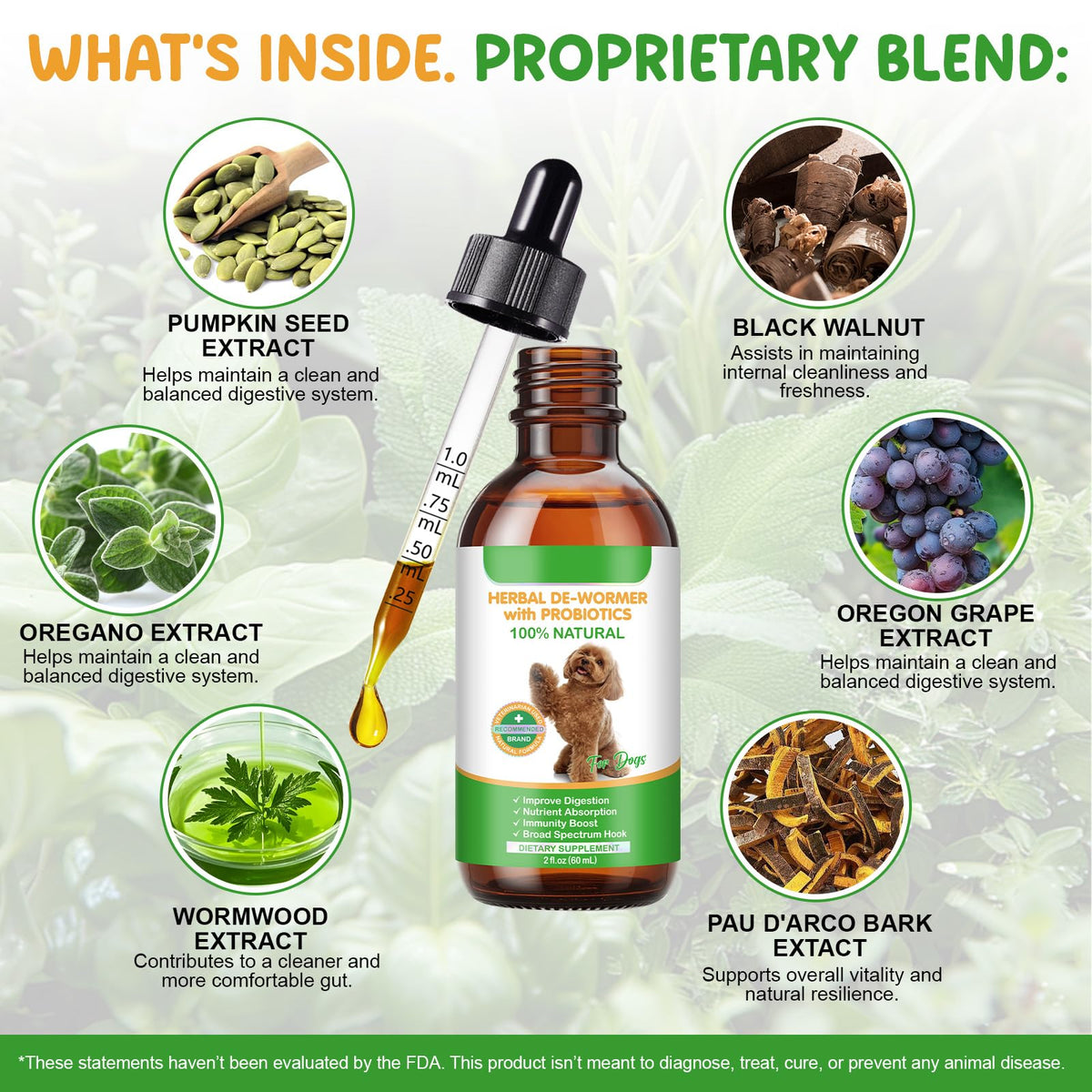 2 Fl Oz Herbal Digestive Support for Dogs R81495