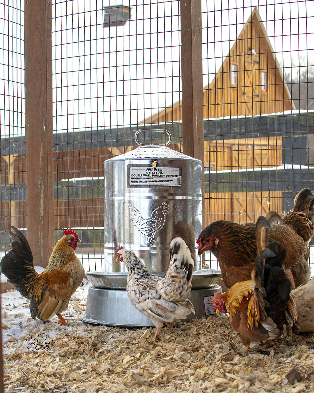 Heated Poultry Drinker Base A133