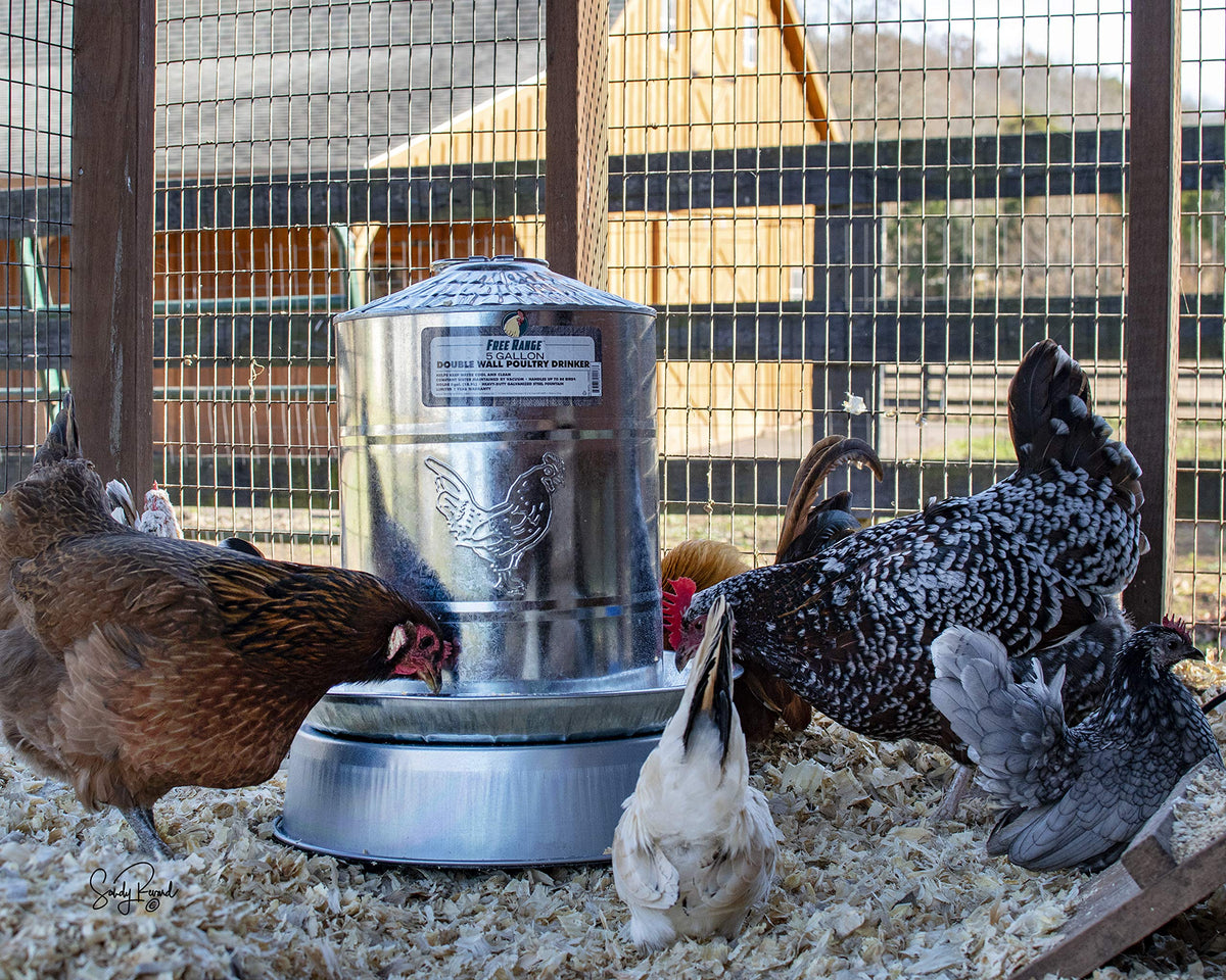 Heated Poultry Drinker Base A133